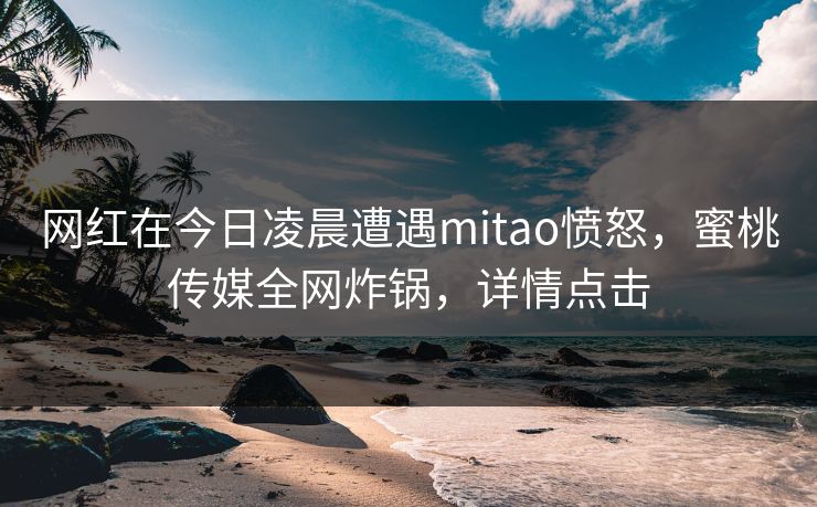网红在今日凌晨遭遇mitao愤怒，蜜桃传媒全网炸锅，详情点击