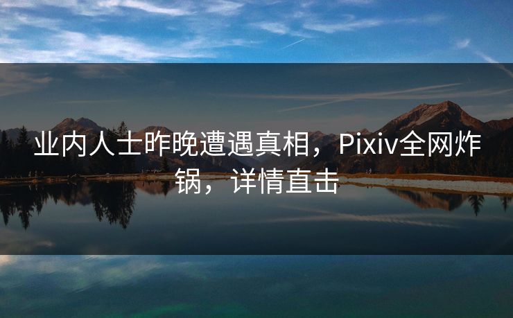 业内人士昨晚遭遇真相，Pixiv全网炸锅，详情直击