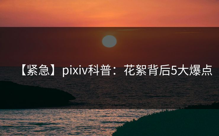 【紧急】pixiv科普：花絮背后5大爆点
