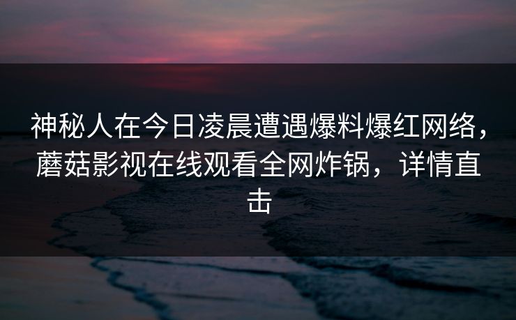 神秘人在今日凌晨遭遇爆料爆红网络，蘑菇影视在线观看全网炸锅，详情直击