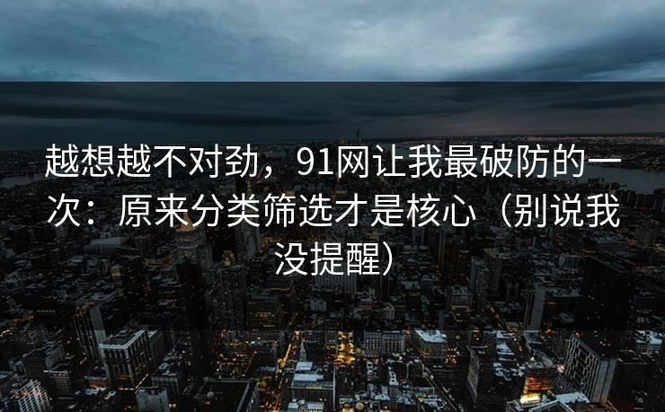 越想越不对劲,91网让我最破防的一次:原来分类筛选才是核心(别说我没提醒)