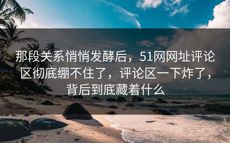 那段关系悄悄发酵后，51网网址评论区彻底绷不住了，评论区一下炸了，背后到底藏着什么