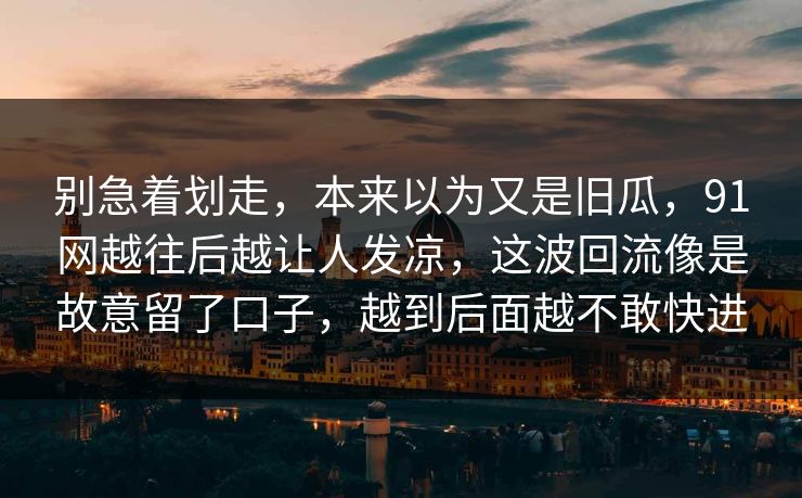 别急着划走，本来以为又是旧瓜，91网越往后越让人发凉，这波回流像是故意留了口子，越到后面越不敢快进